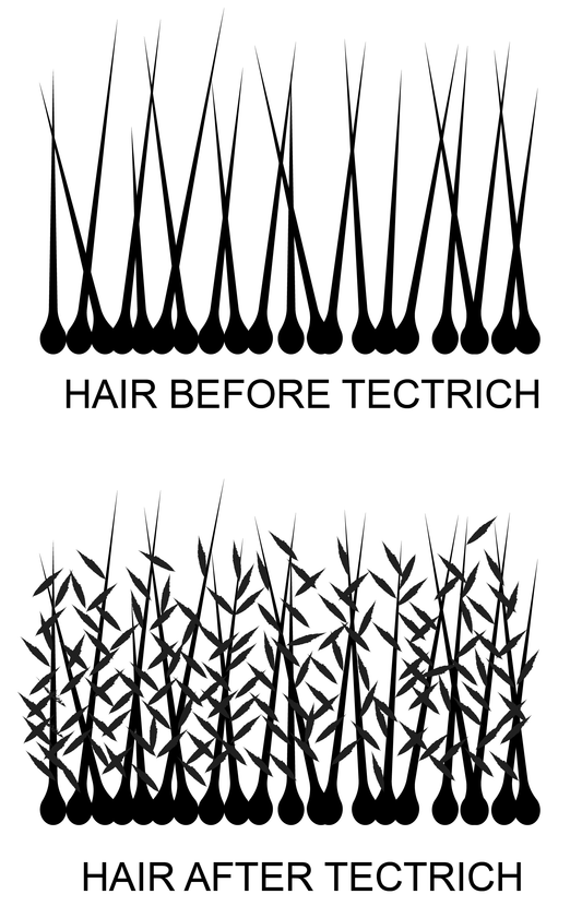 How TECTRICH® hair building fibres work